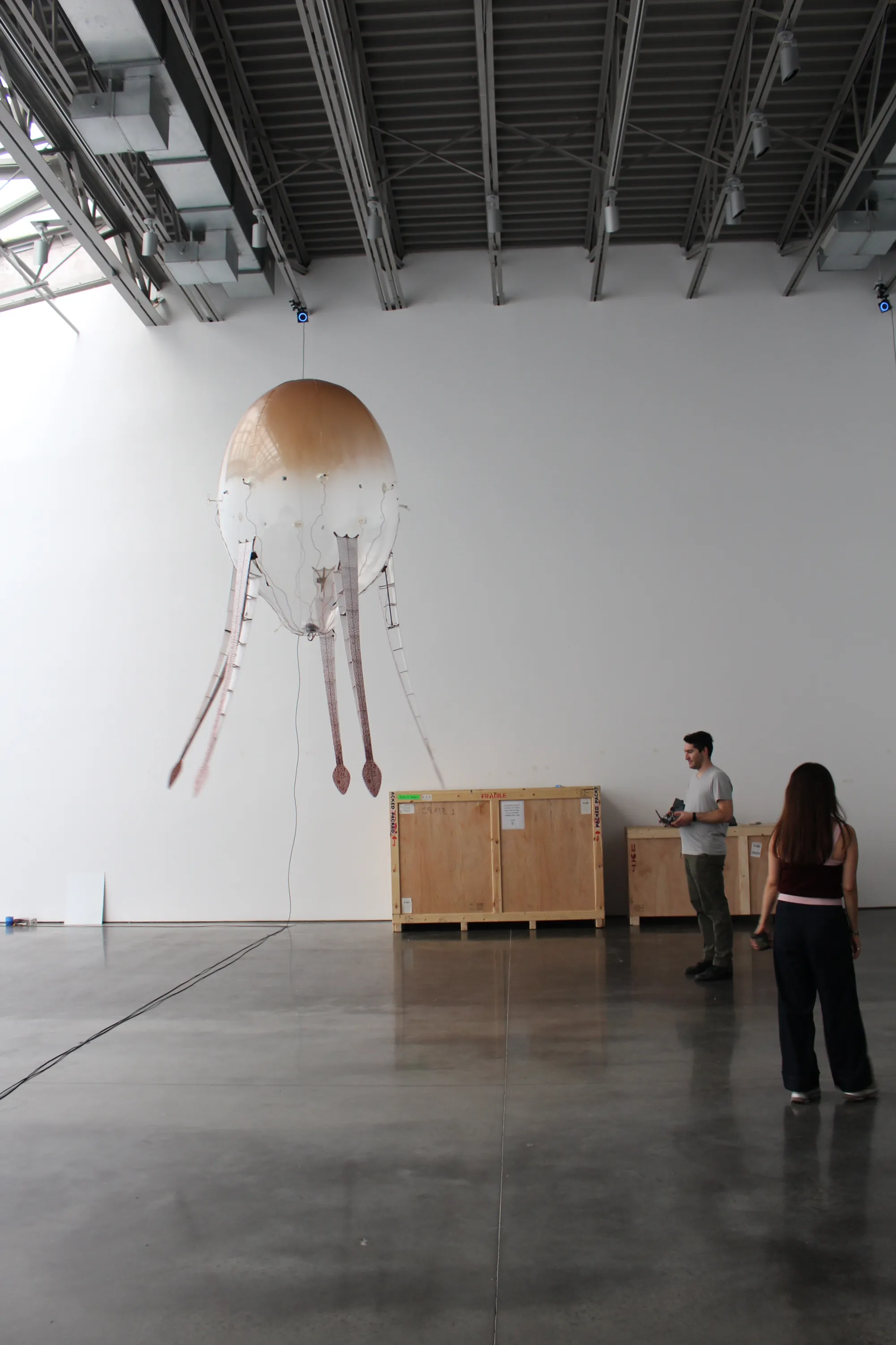 Testing the aerobe drone's flight behavior