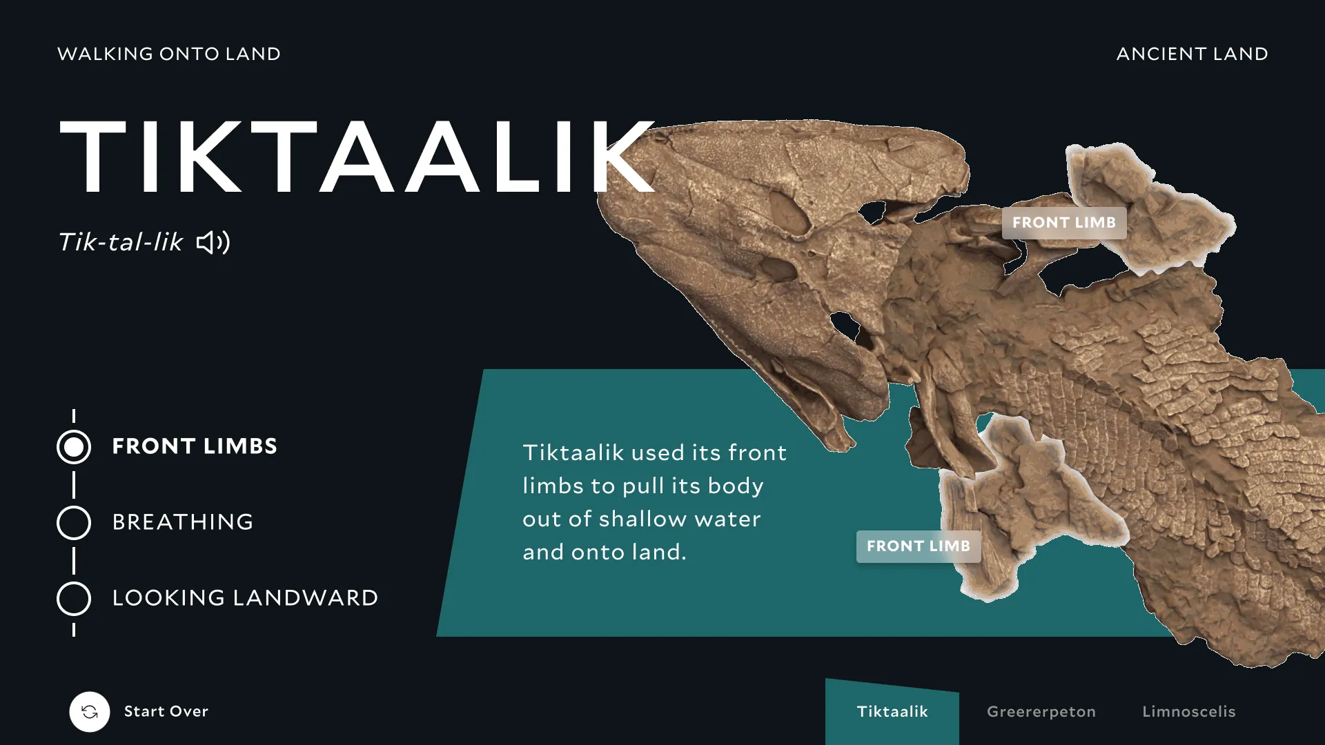 Fossil highlight kiosk interface