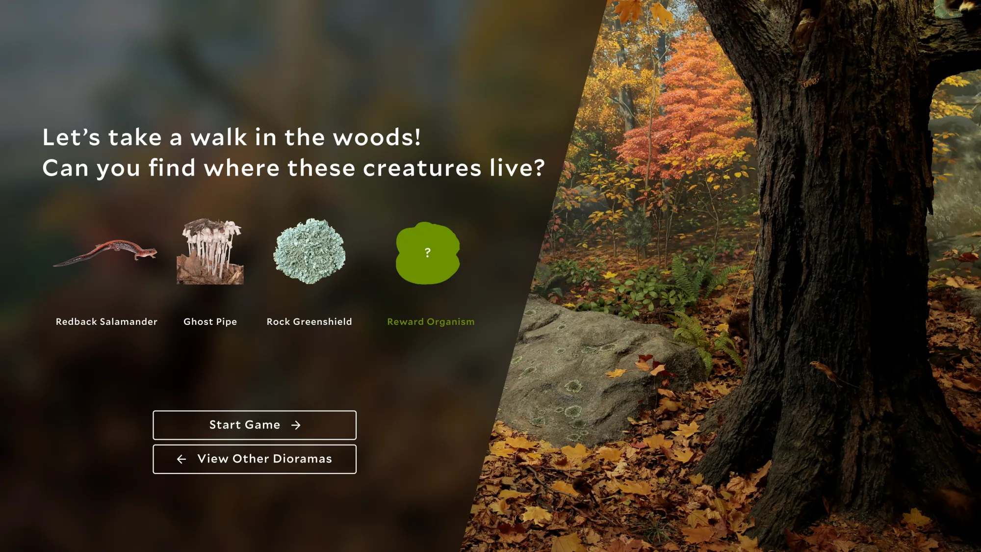 Hidden biodiversity kiosk interface